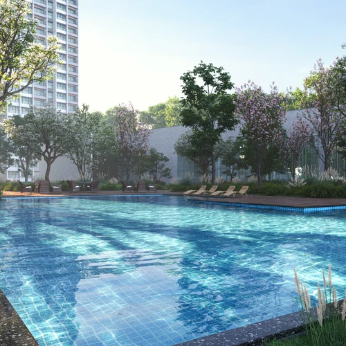 Swimming Pool Area